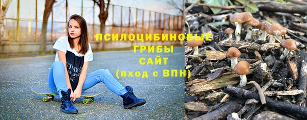 соль ск Абинск