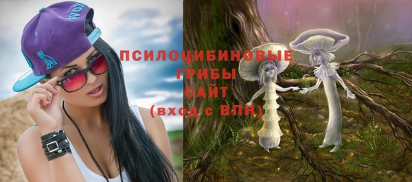 крисы Абдулино